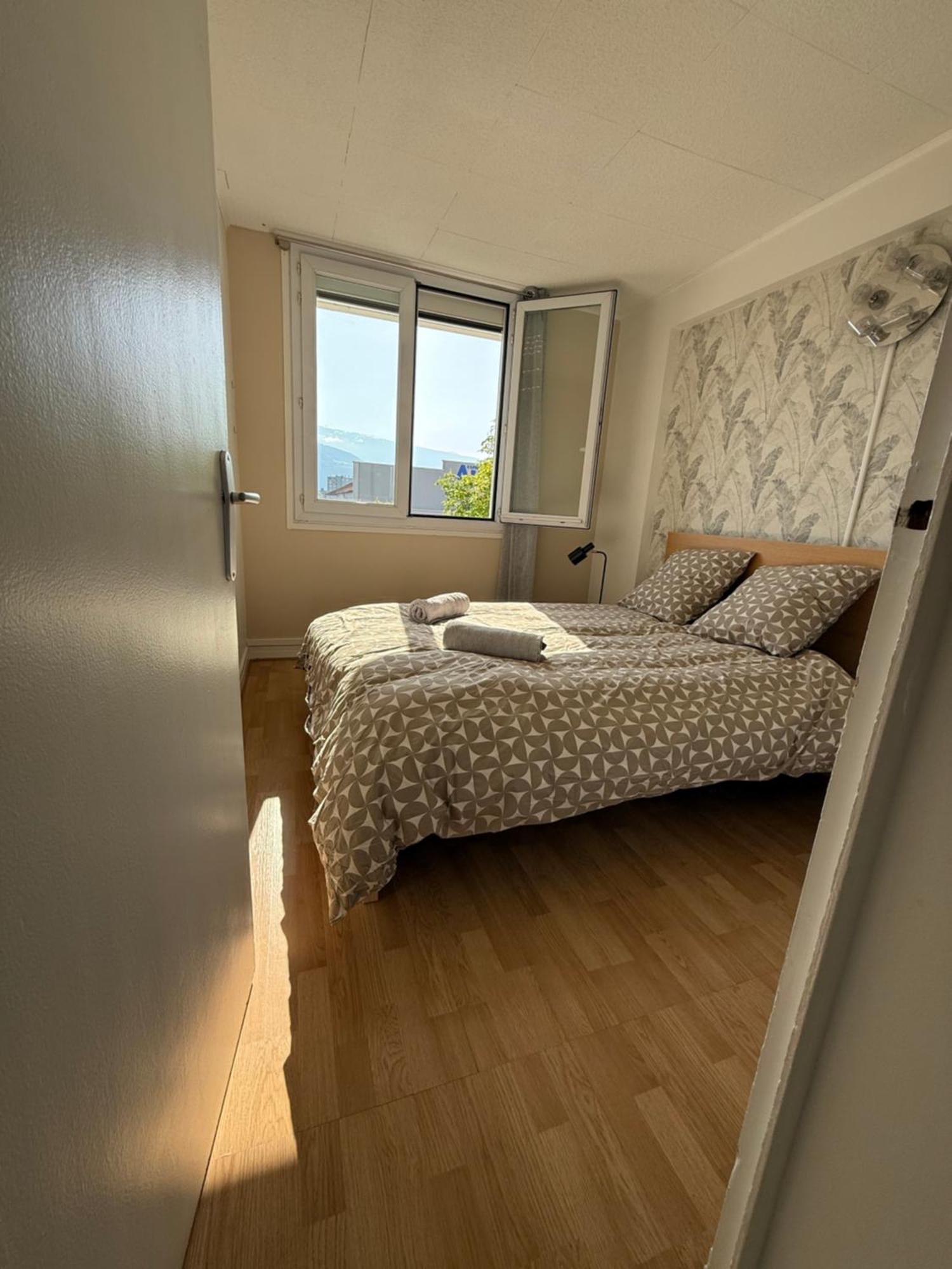 Superbe Duplex Avec Parking Gratuit Lejlighed Grenoble Eksteriør billede